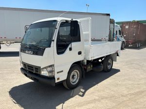 Camión usado isuzu elf100 2019